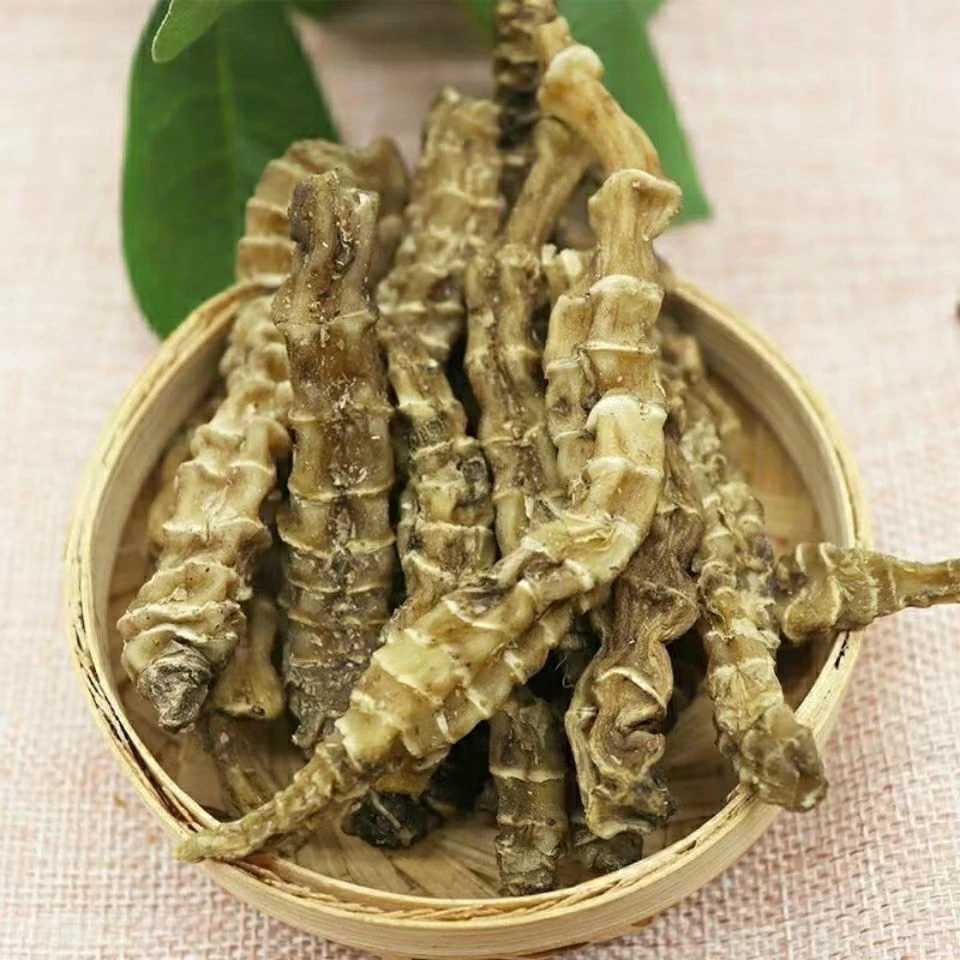 甄选高山好货 【虫草参】珍藏    小飞专属