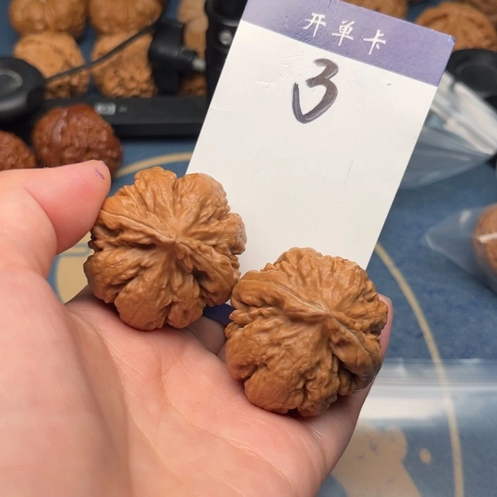 吊坠文玩核桃鹏**里霸王龙 39全品 3