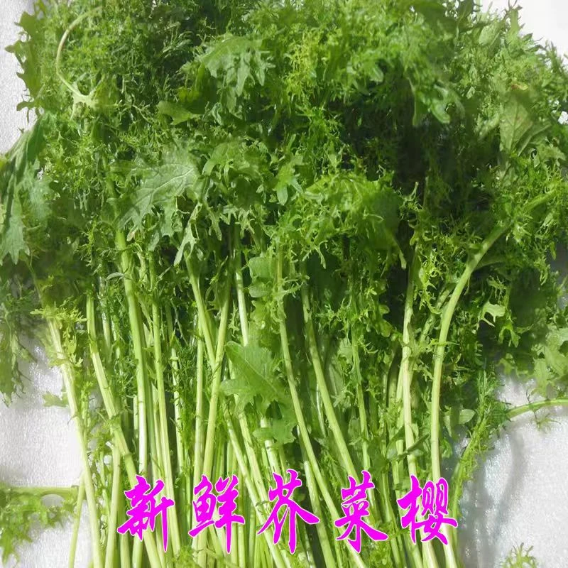 新鲜芥菜缨子5斤包邮(生的，回家自己腌）