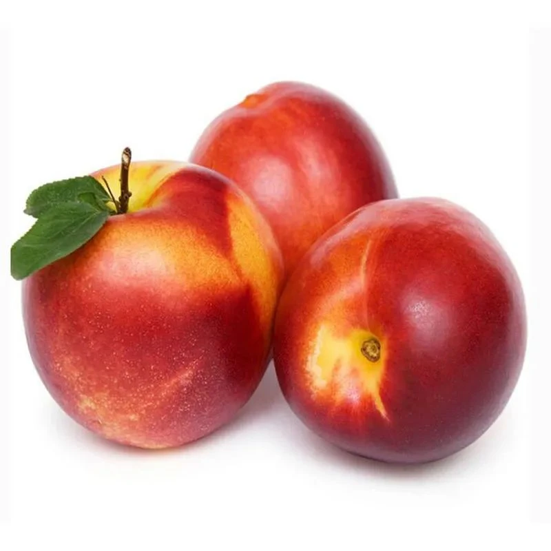 【2顺丰包邮、坏果包赔】智利油桃 脆甜多汁 3斤/5斤装
