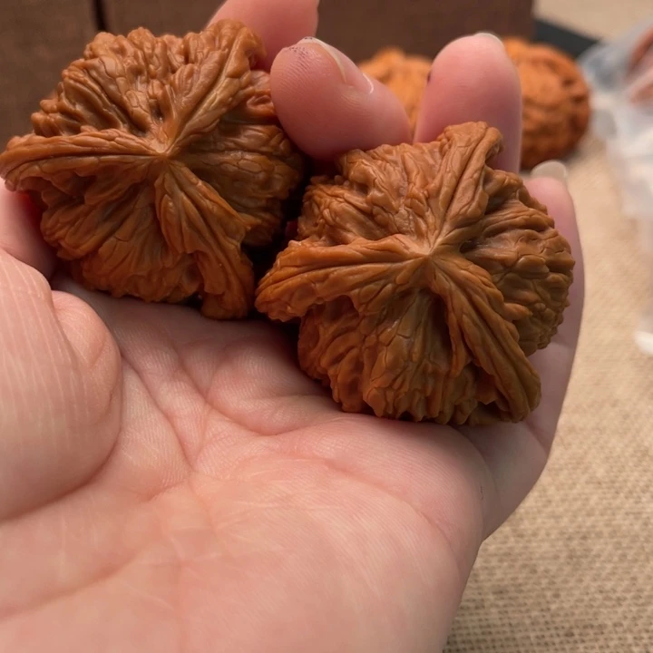 抱***包核桃白狮子核桃41