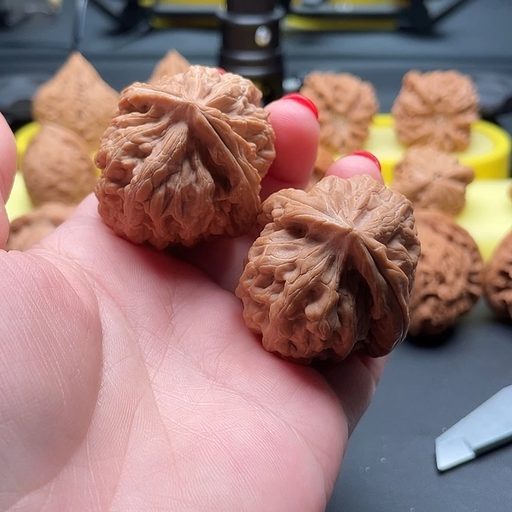 全品无修红锦锂38/41/42