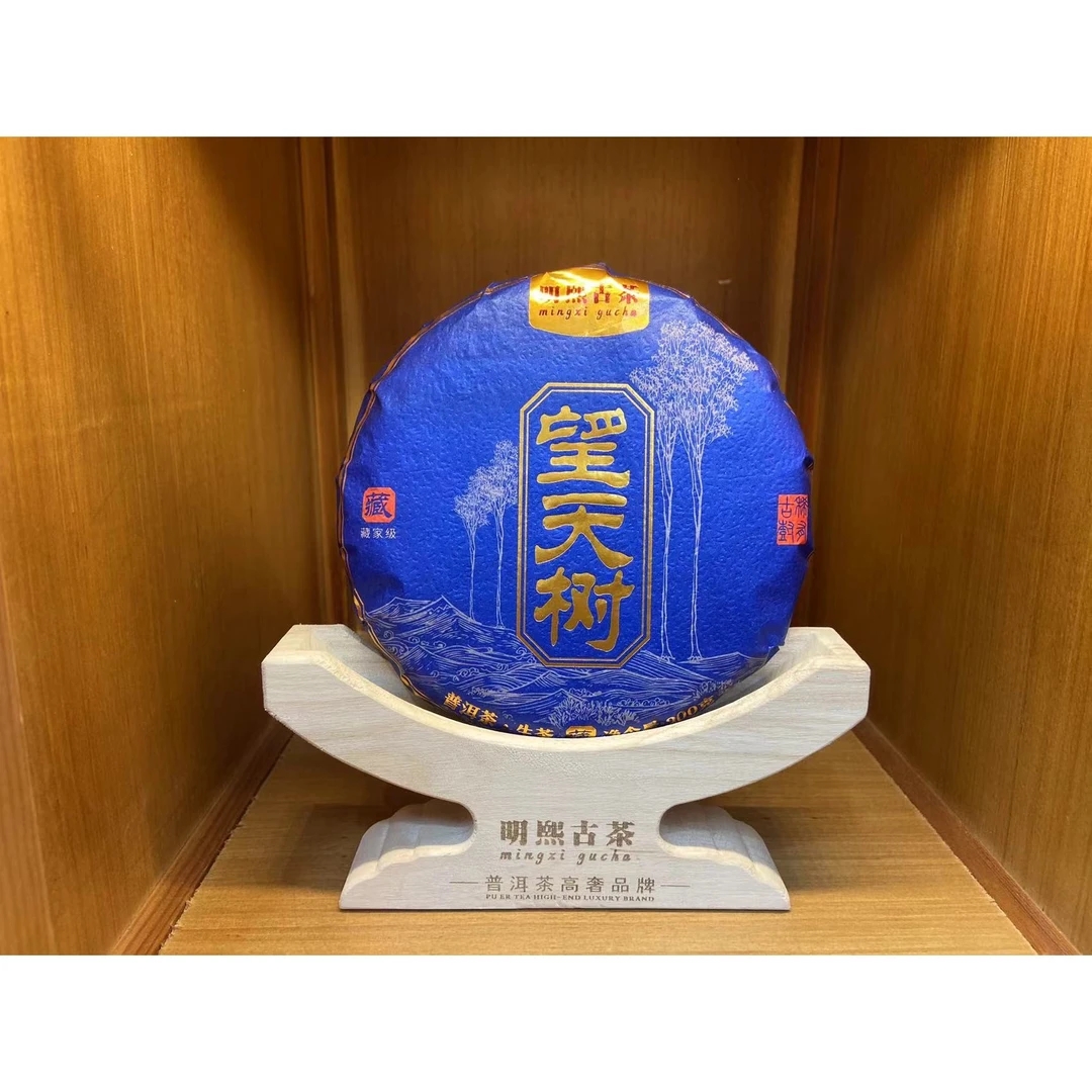 【明熙古茶】（706）2024年望天树古树普洱生茶200克