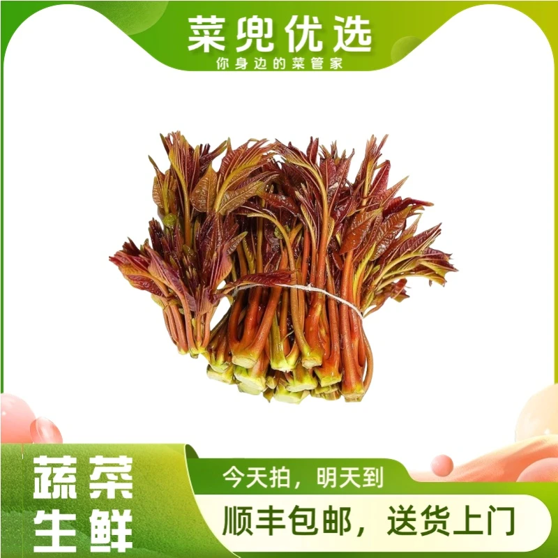 香椿芽 75g±5g/份