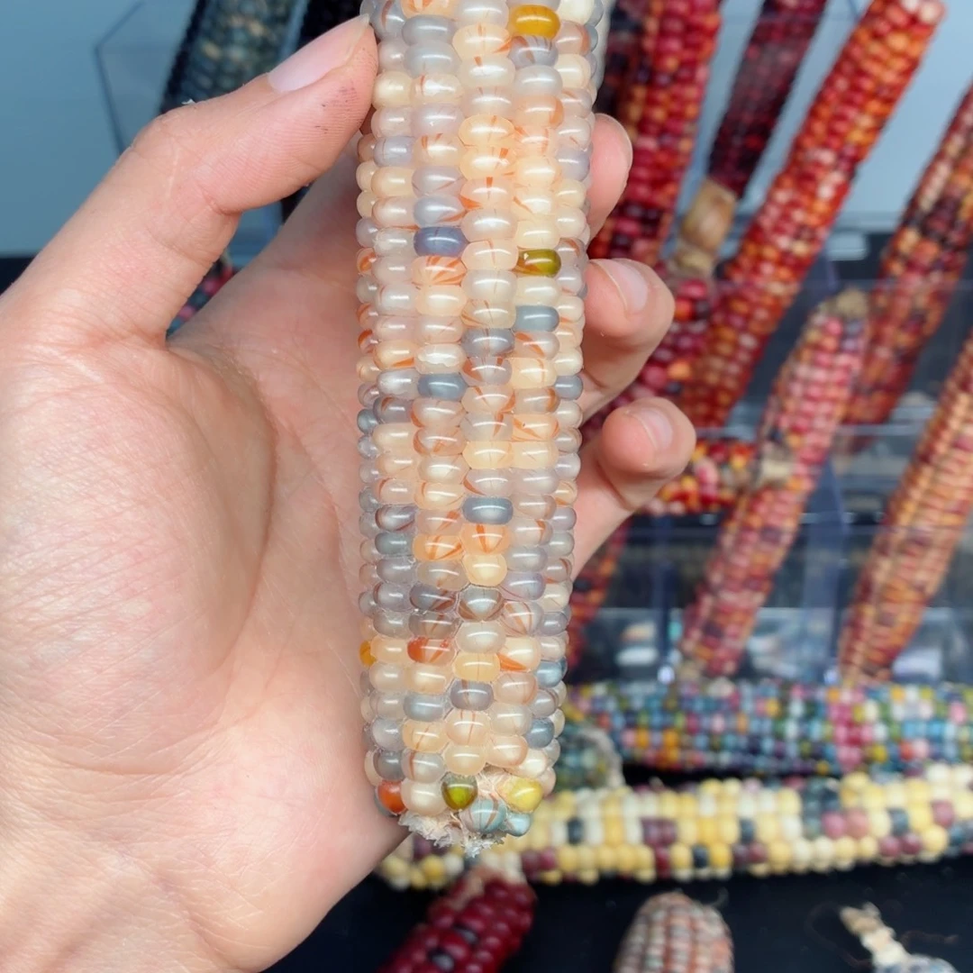 n***添吊坠白玉菩提文玩文玩精品毛料