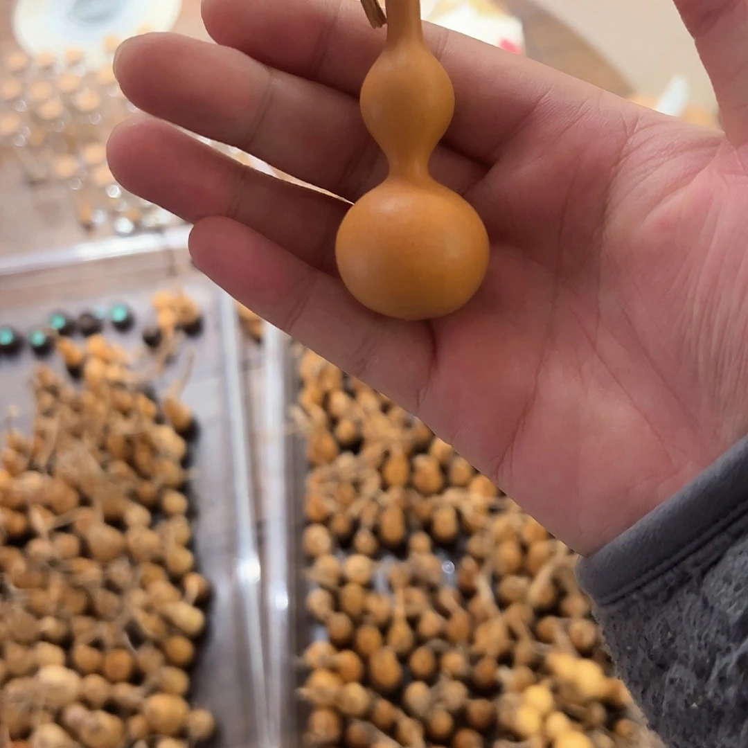 在****璋葫芦娃的时候我也是醉