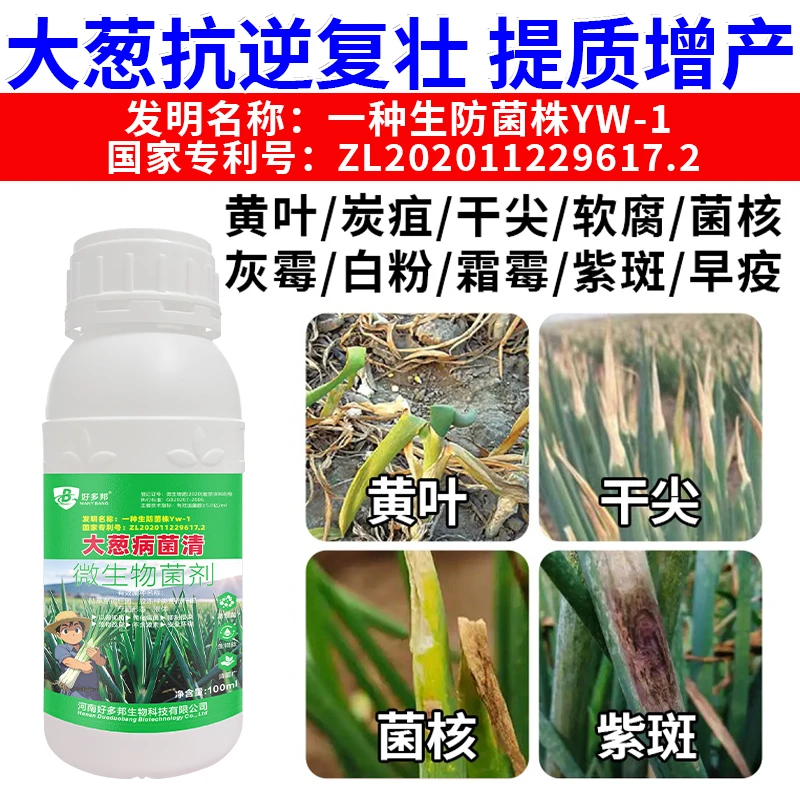 大葱病菌清大葱黄叶干尖紫斑软腐菌核专利技术清菌广微生物菌剂