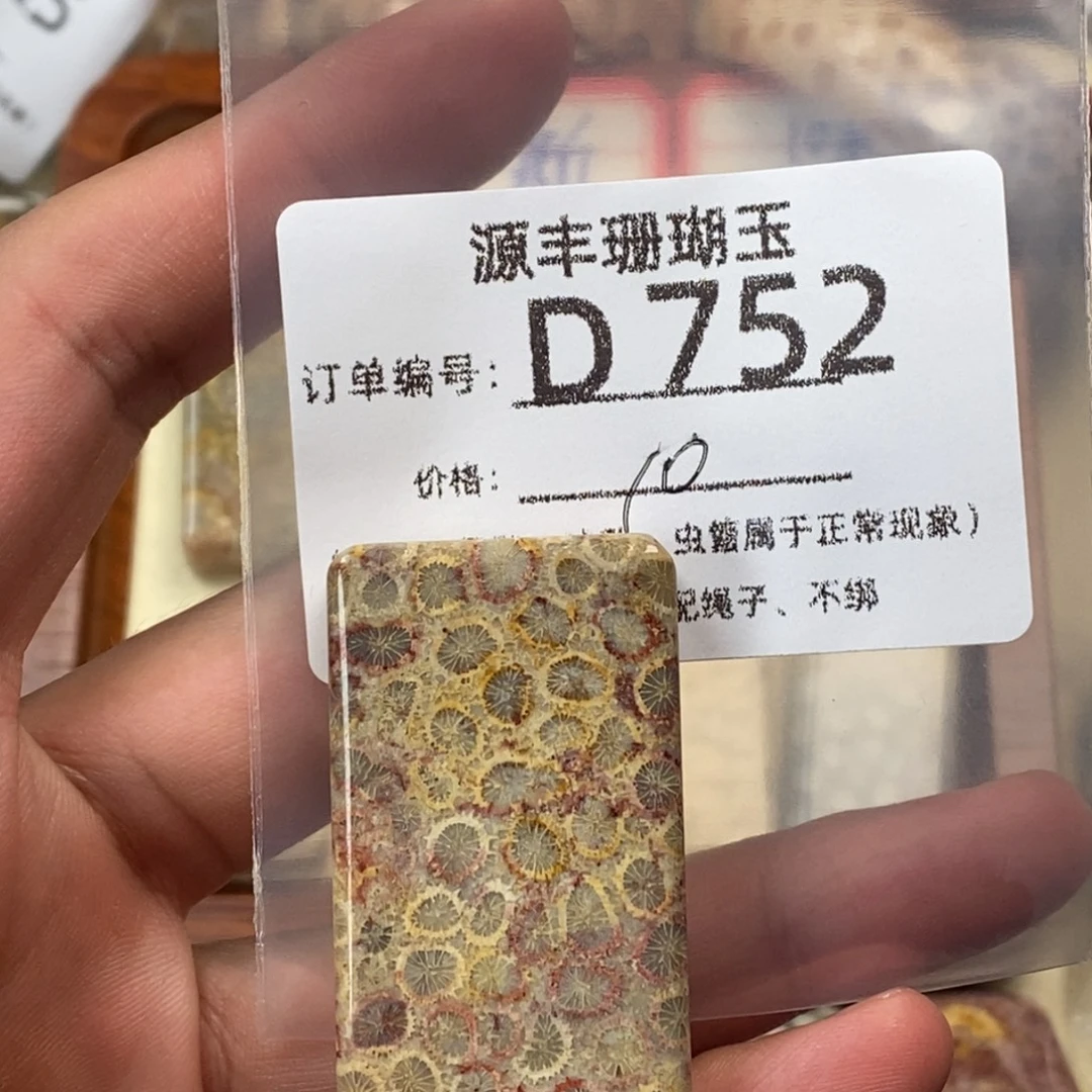 蚂***头硅化玉未镶嵌颈饰