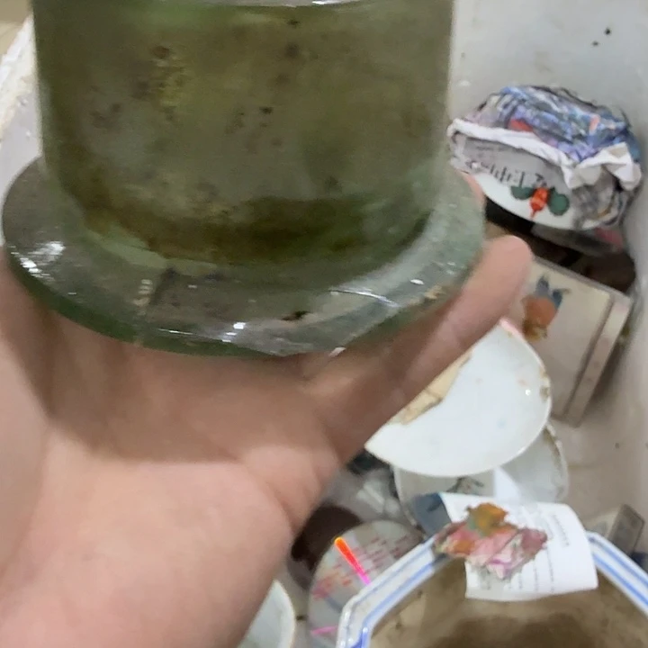 （***命扇子吃g语言语言语言