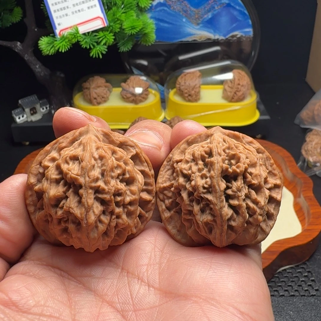 把件文玩核桃全品盘龙纹40