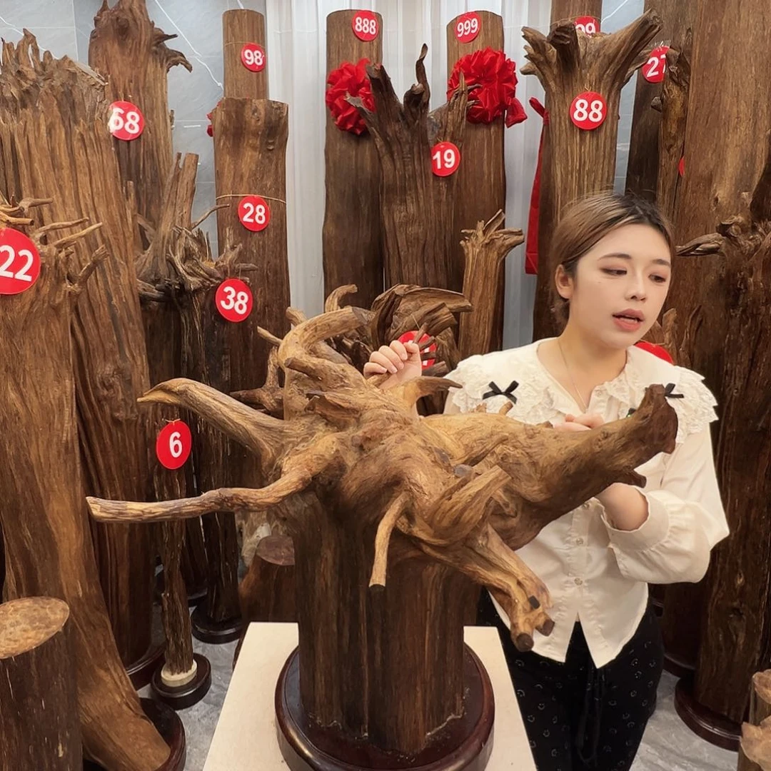 国***公摆件沉香沉香原料