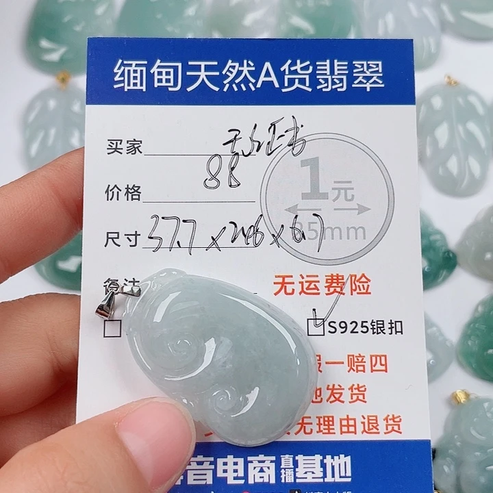 翡翠银S925镶嵌颈饰翡翠