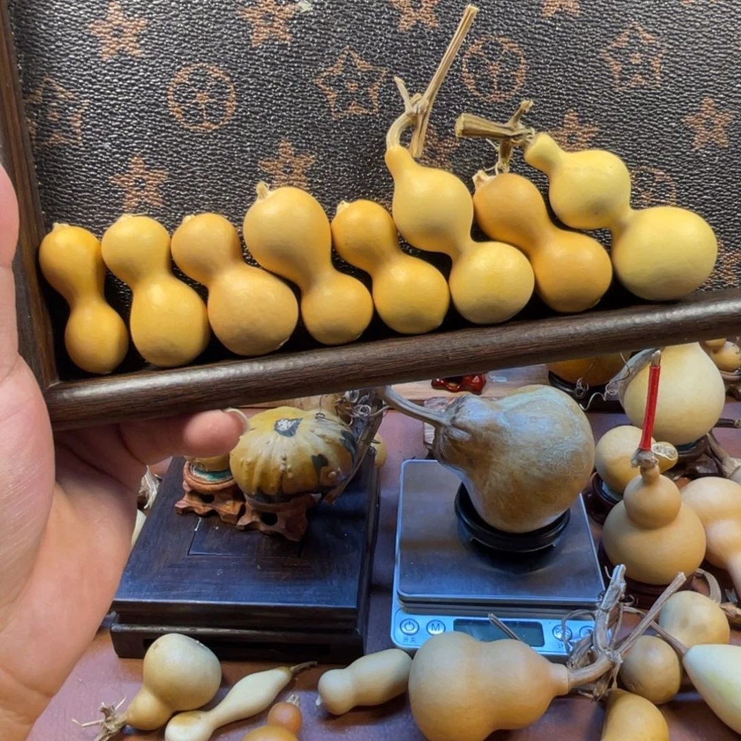 前***3葫芦山公园和新世纪大道