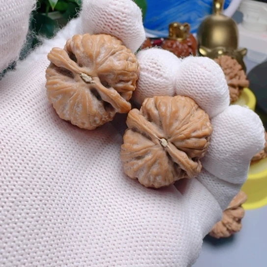 29尺金钱豹文玩核桃