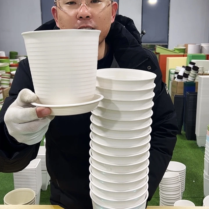 正品高陶口15高15白色8只带托