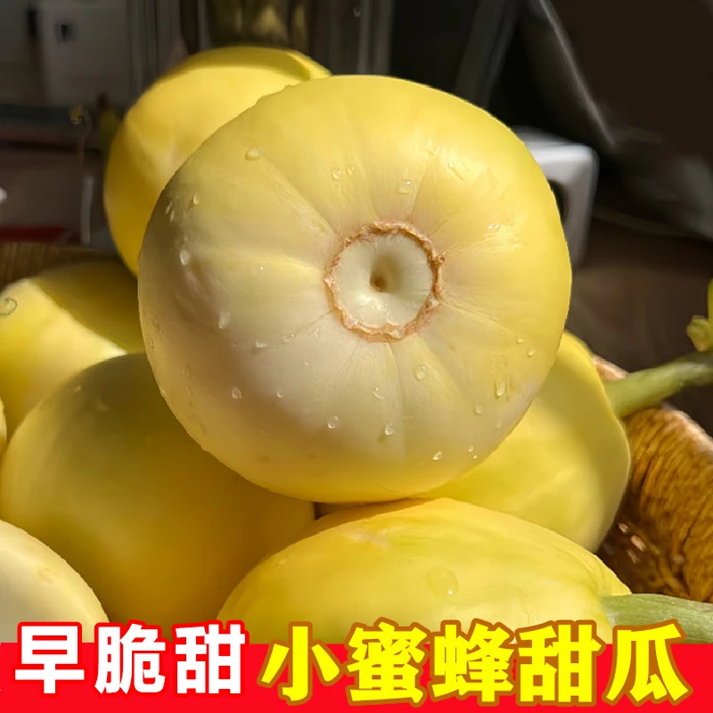 锦口香正宗小蜜蜂甜瓜新鲜应季脆甜多汁当季水果早脆甜小蜜罐