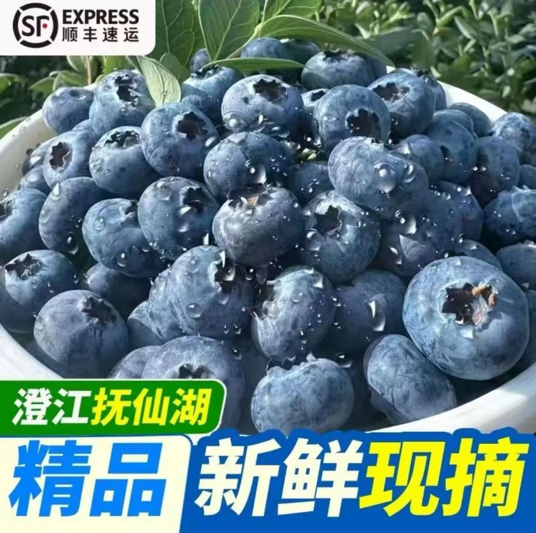 云南澄江高原正宗L25蓝莓现采现发顺丰空运纯甜无酸原箱包装