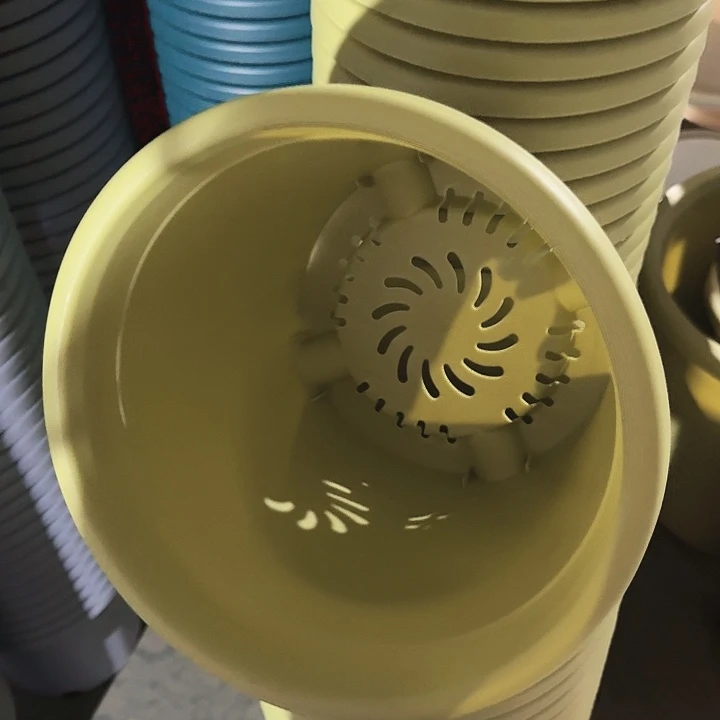四季4号果绿无托8个特价微瑕