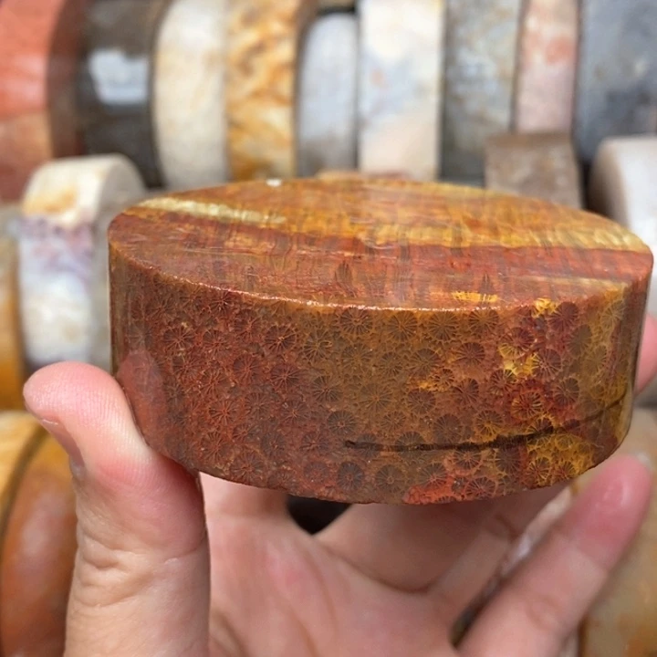 硅化珊瑚（珊瑚玉）手镯未镶嵌