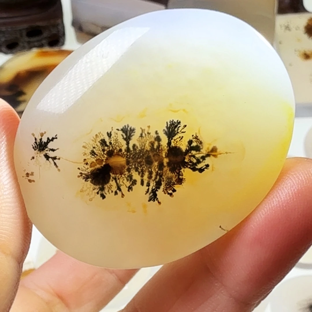 玛瑙/玉髓未镶嵌珠宝半成品