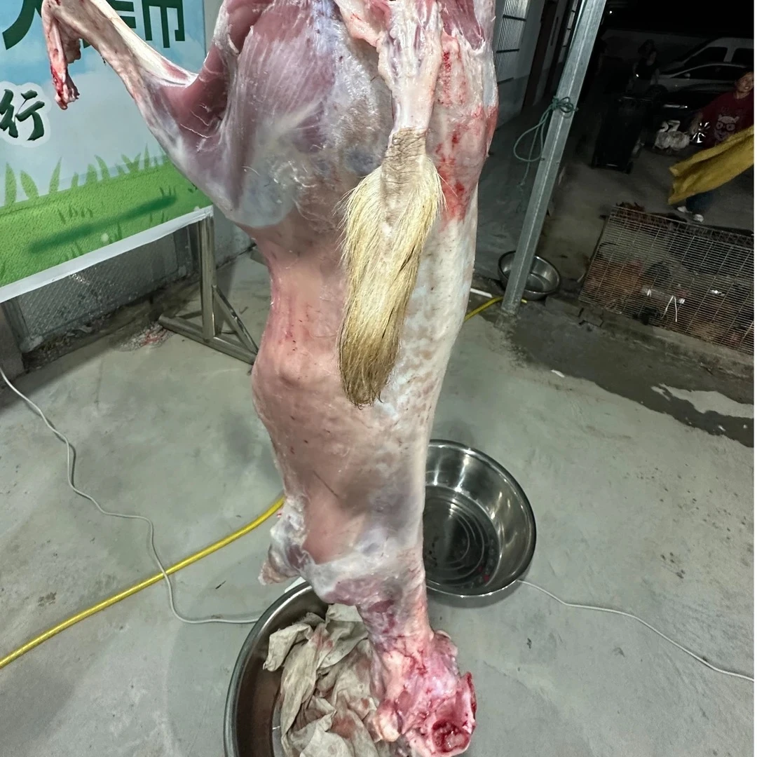 【羊排】本地小山羊整只羊按部位分割