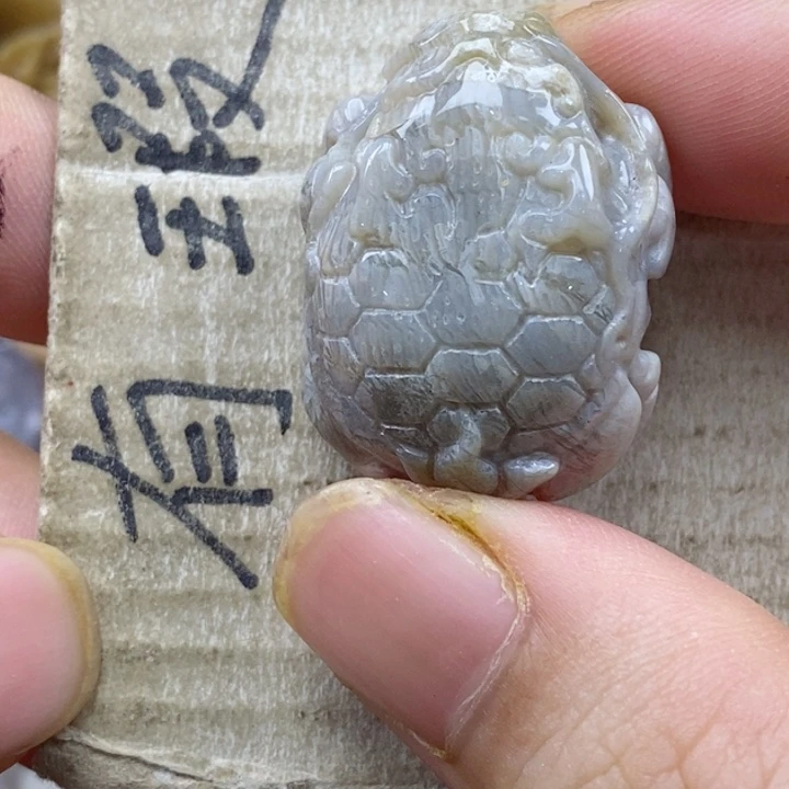 颈饰未镶嵌硅化珊瑚（珊瑚玉）A****y小