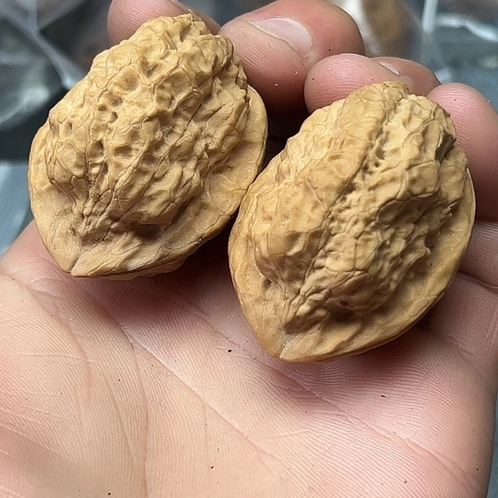 核桃20号古柏金蟾40尺