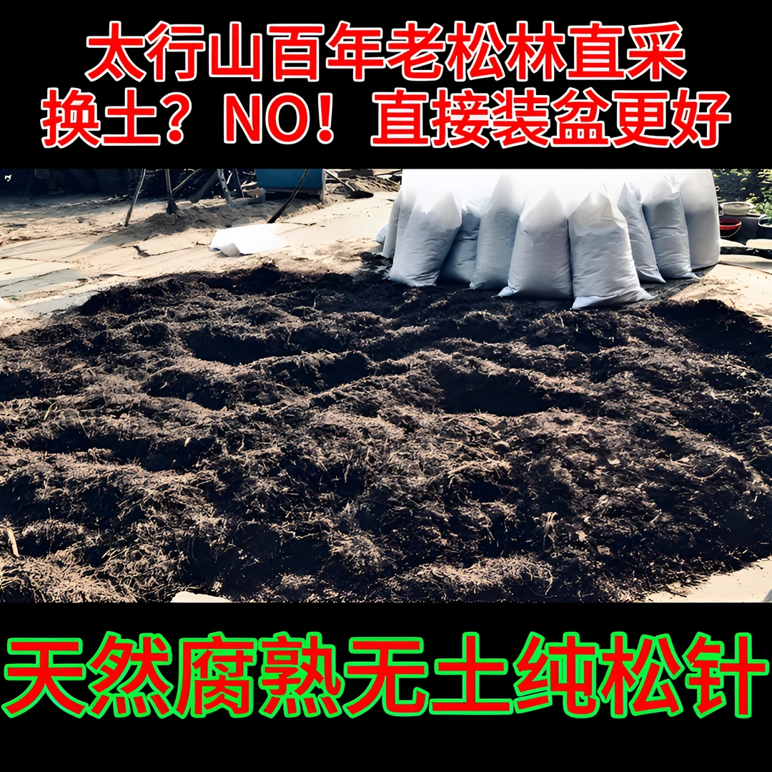 粉丝福利50升天然腐熟无土纯松针养花酸性疏松栽种适合混合使用