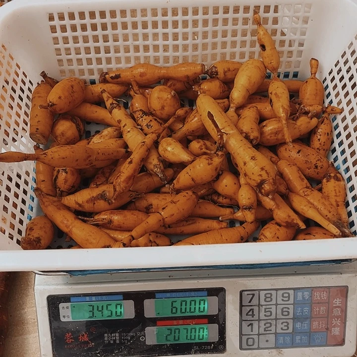 中国大陆用****9牛大力蛋蛋