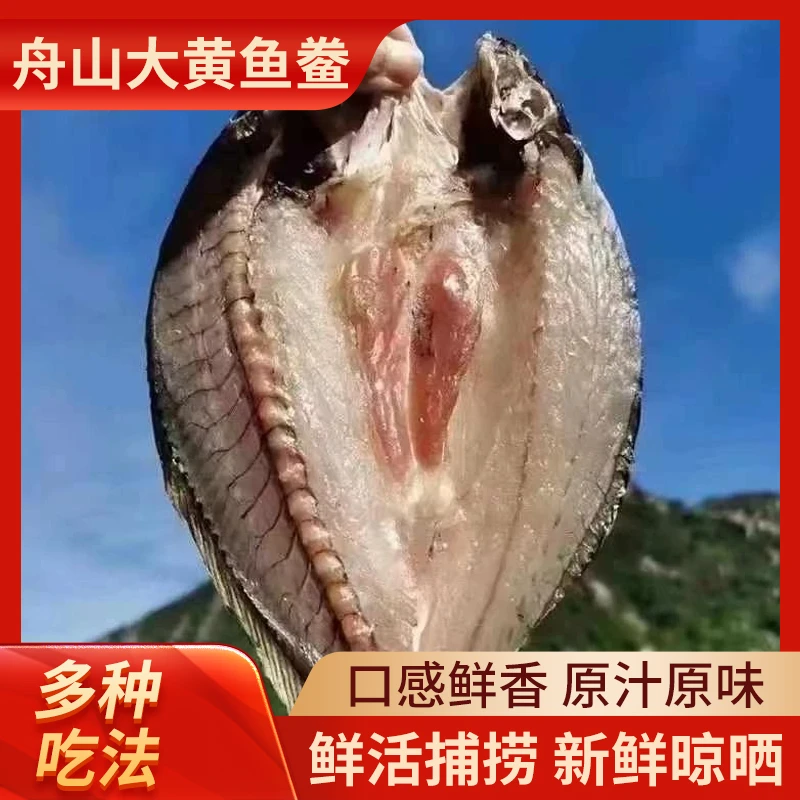 【自晒】舟山东极岛半野生大黄鱼鲞淡晒不咸开背海鲜干货鱼干海鱼