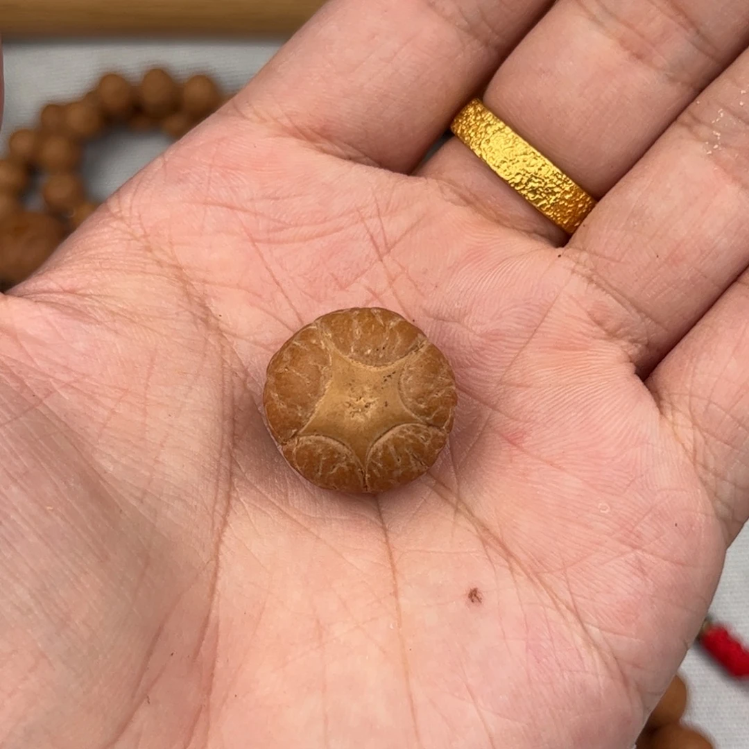 手串凤眼菩提19.5x14.4五星