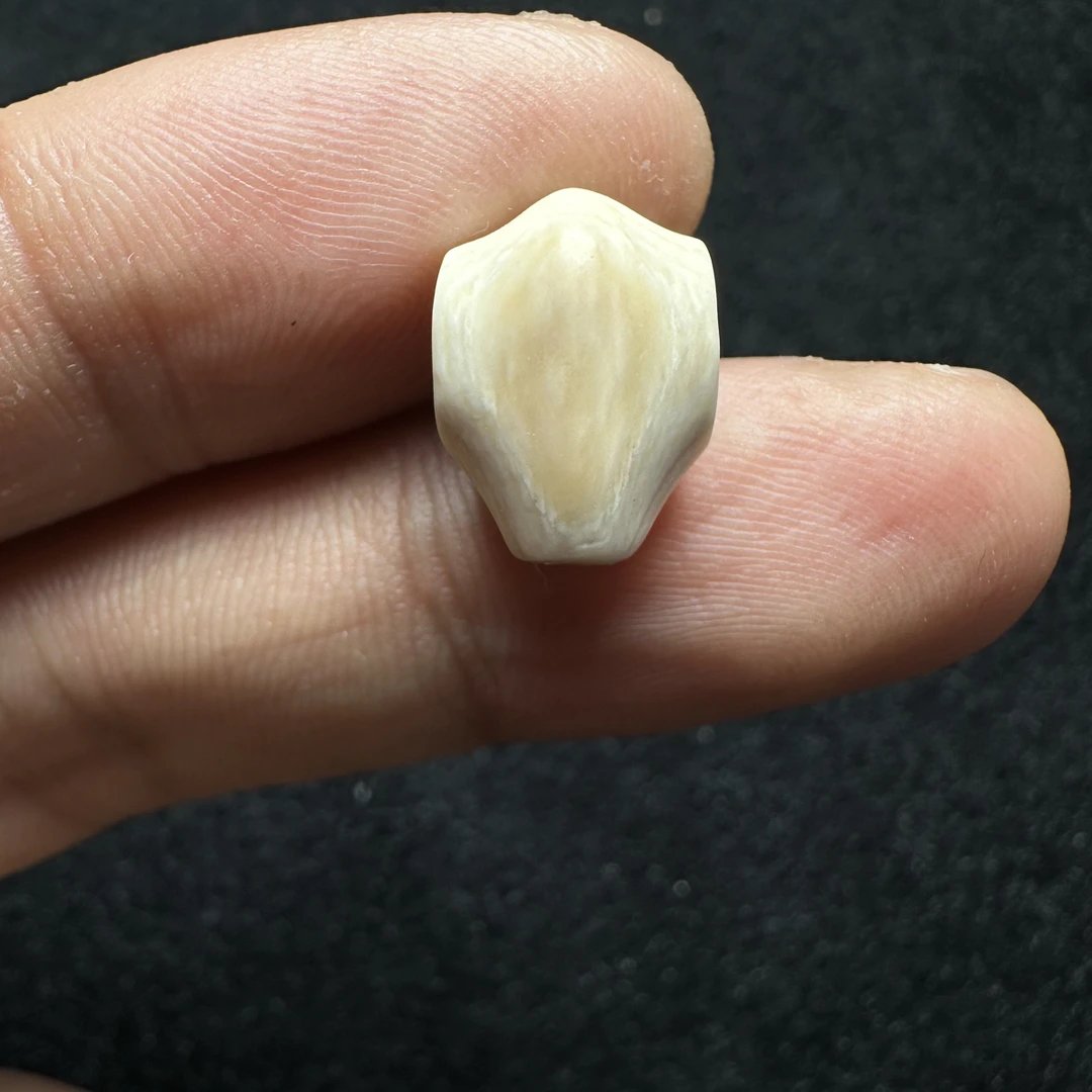 F203猛犸象牙对孔10mm冰料果冻鲨鱼背三通