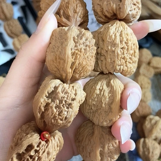 螺***丝吊坠龙脊菩提南疆