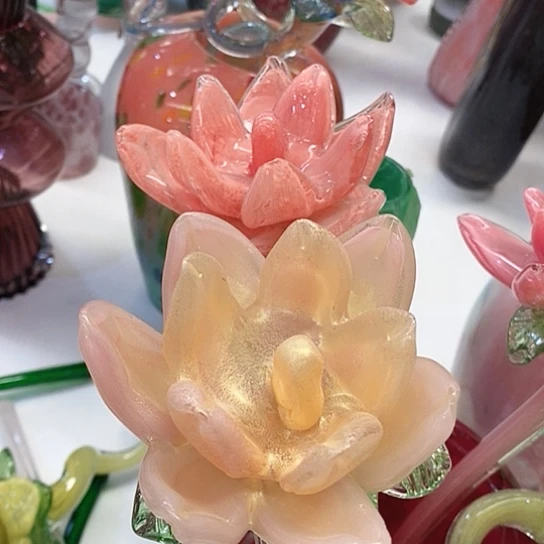 没*夜光花高45厘米宽12厘米