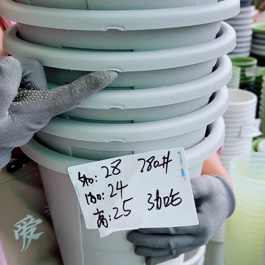 瑕疵玫瑰280#灰白色6个无托