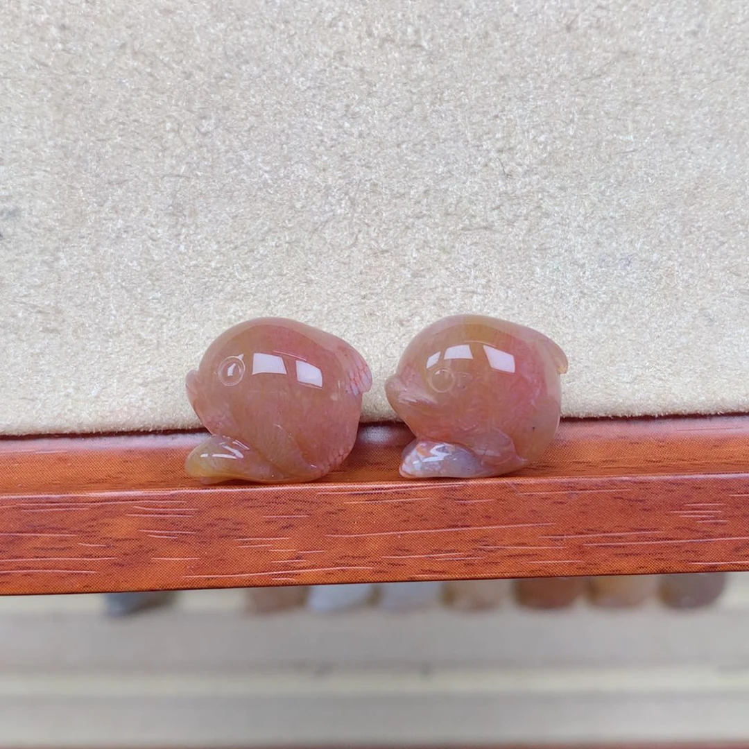 硅化玉珊瑚玉未镶嵌