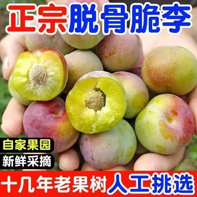 【产地现摘】四川正宗脱骨李半边红茵红李应季新鲜脆甜多汁爽口肉厚