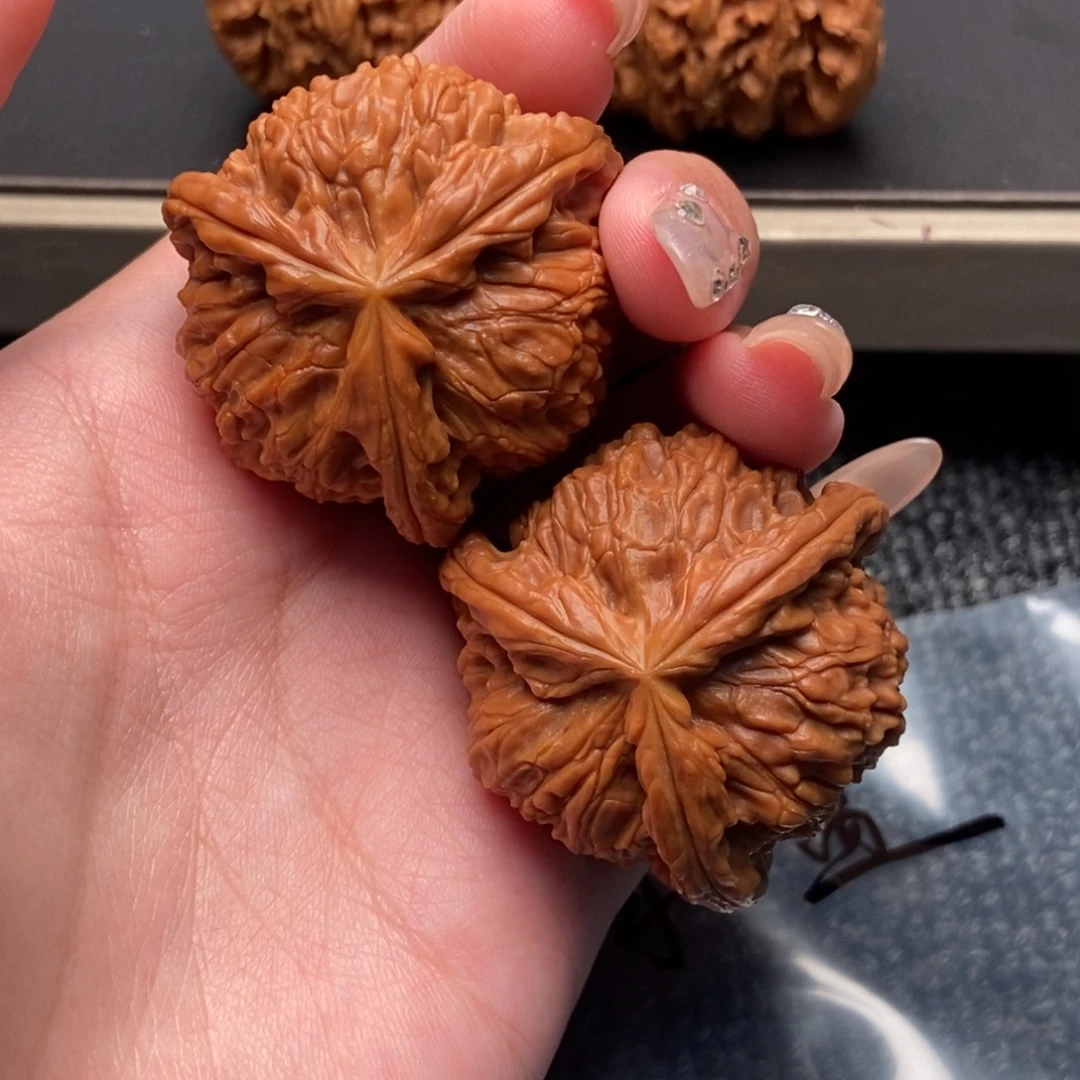 哈***新木质类白狮子正奔