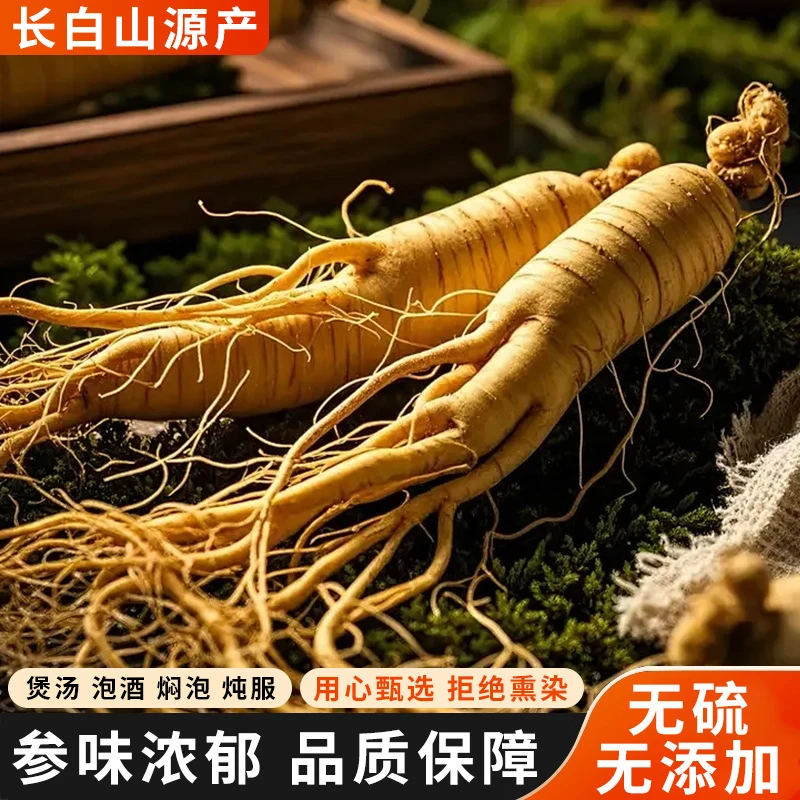 长白山 原产地 新鲜人参 单支60克左右 【2支装】 泡酒 熬汤 送人