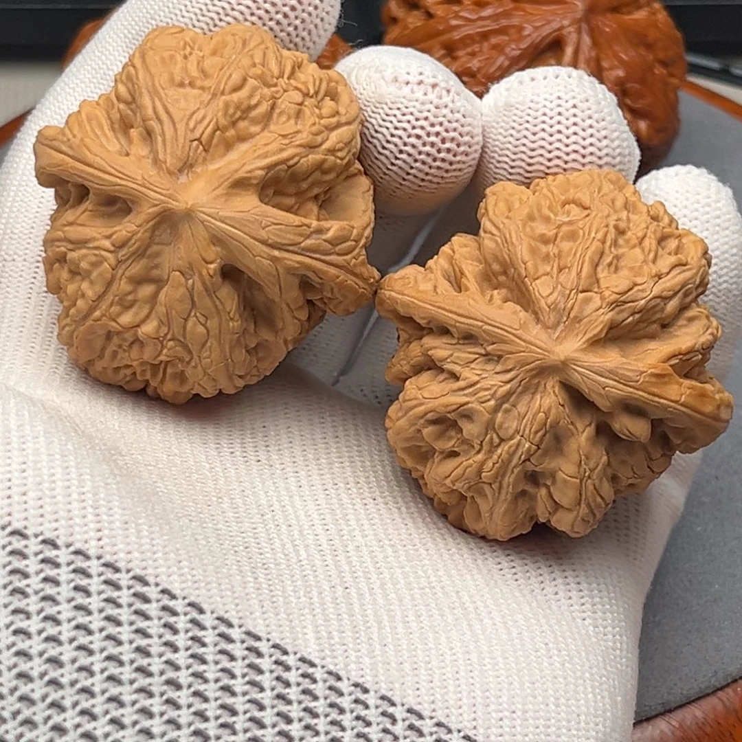 文玩核桃吊坠大粗筋