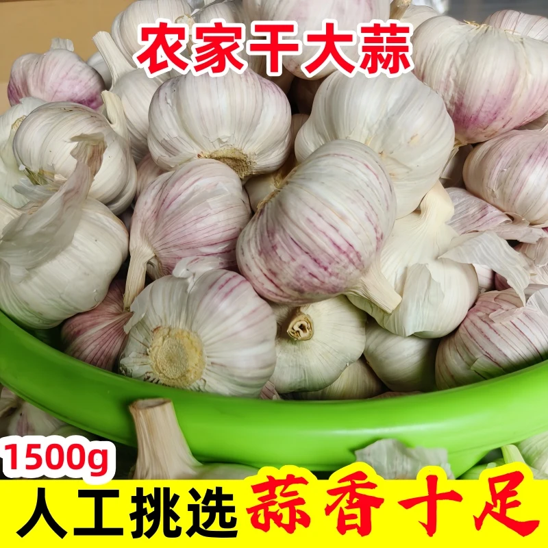 大蒜新鲜干蒜3斤农家紫白皮干大蒜头紫皮大蒜干蒜子可做蒜种