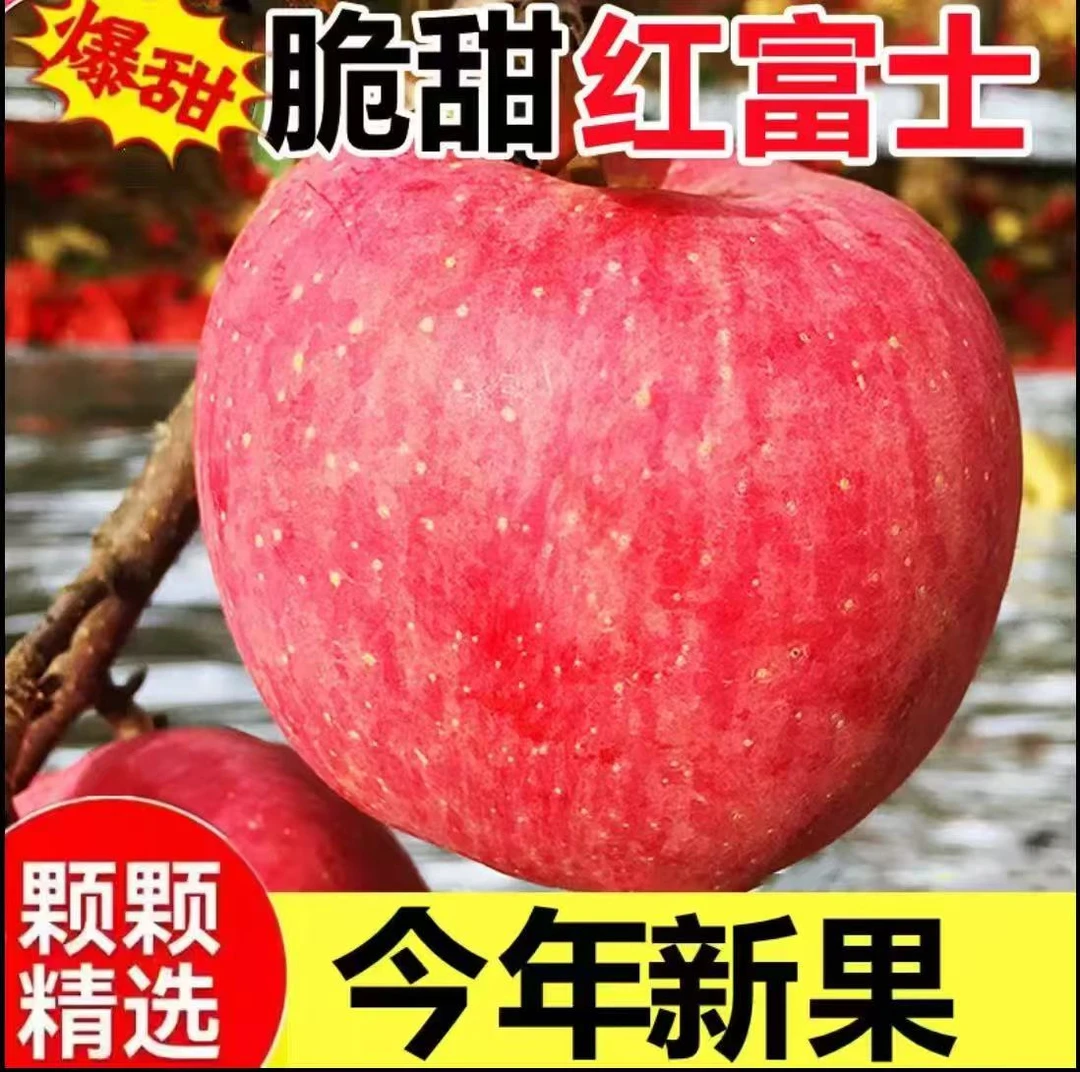 陕西红富士新鲜采摘苹果新鲜当季水果脆甜多汁