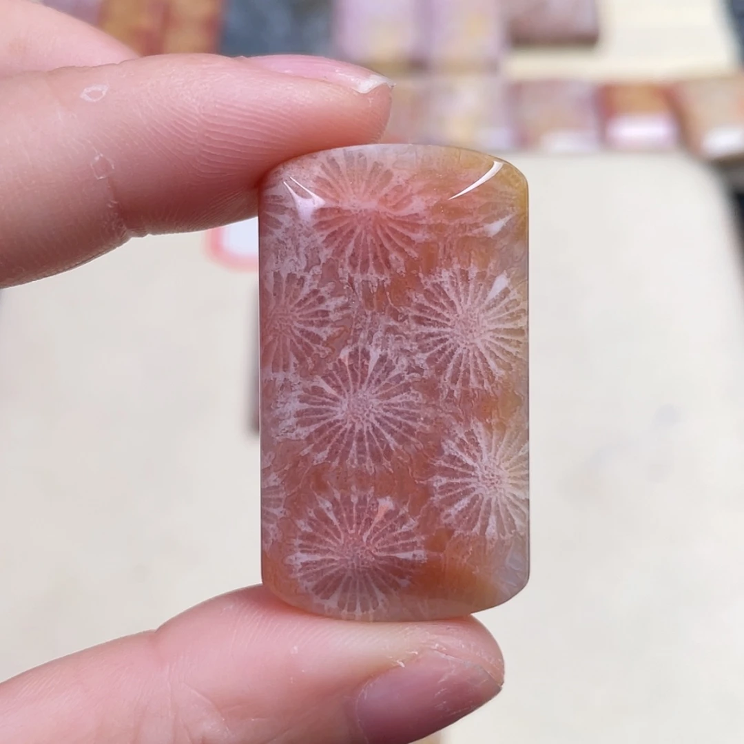 【闪购商品】未镶嵌吊坠(赠链)硅化玉?**～