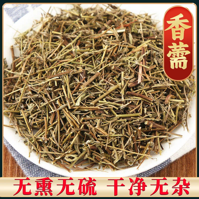 【香薷】香薷新货自然生长