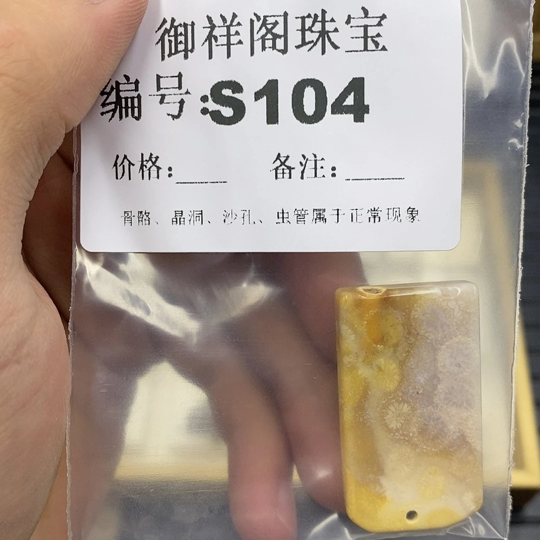 硅化珊瑚（珊瑚玉）未镶嵌颈饰月