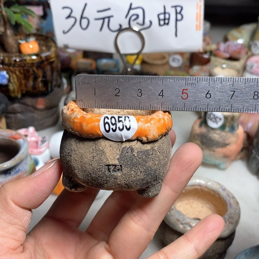 双十一福利款不退不换，原28元一个