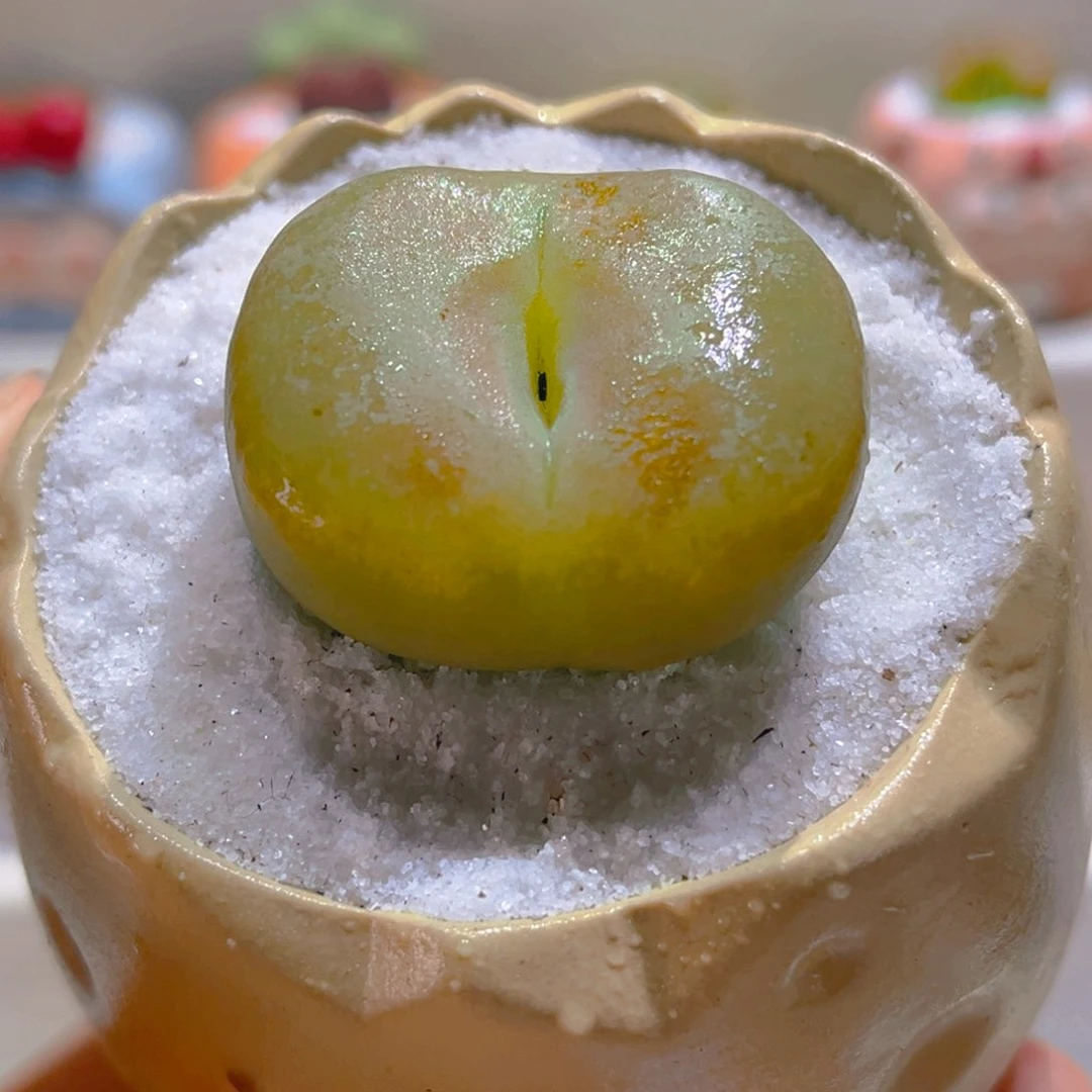 072高端多肉4.2厘米带盆带土