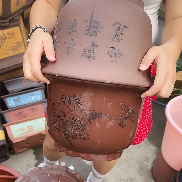 30平角金钟花盆花盆×2
