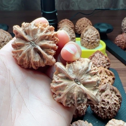 轻***语核桃陕西秦岭龙林大花42