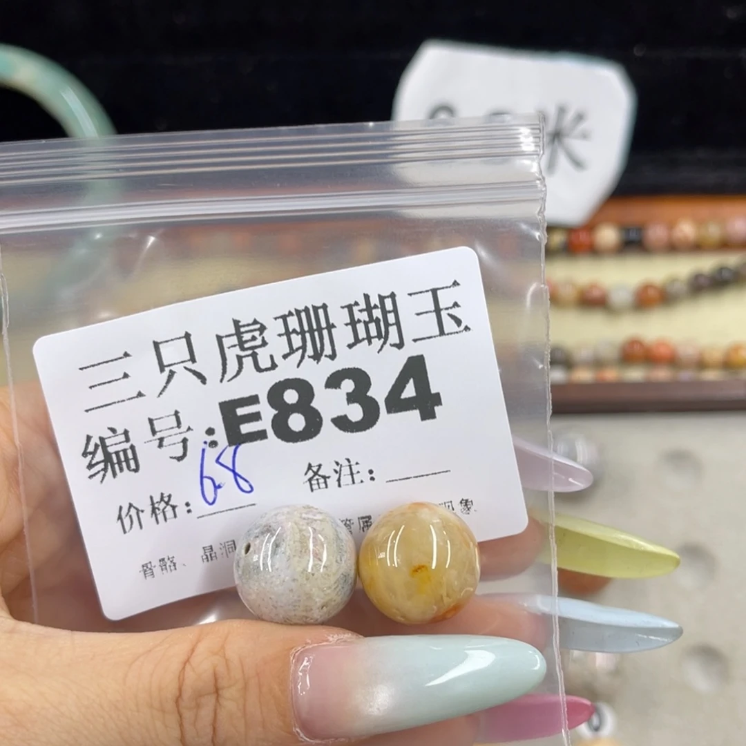 一***树硅化珊瑚（珊瑚玉）h未镶嵌